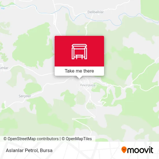 Aslanlar Petrol map