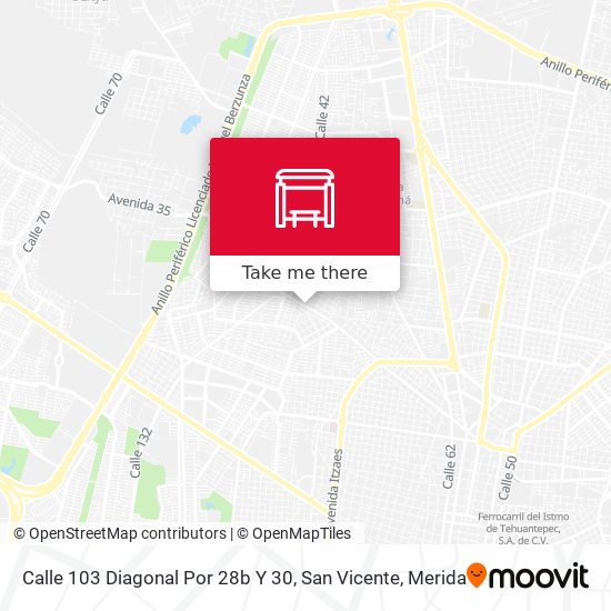 Calle 103 Diagonal Por 28b Y 30, San Vicente map