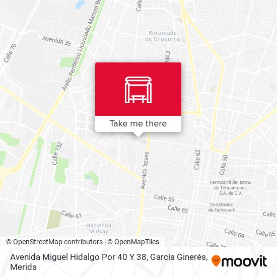 Avenida Miguel Hidalgo Por 40 Y 38, García Ginerés map