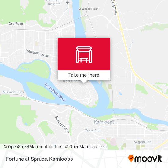 Fortune at Spruce plan