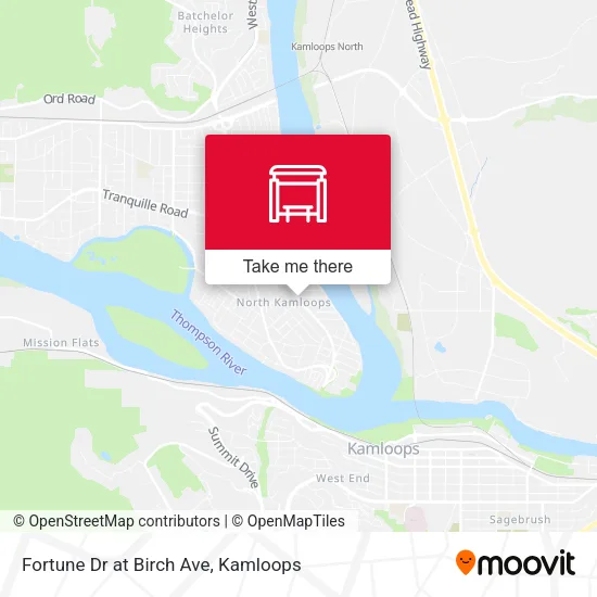 Fortune Dr at Birch Ave map