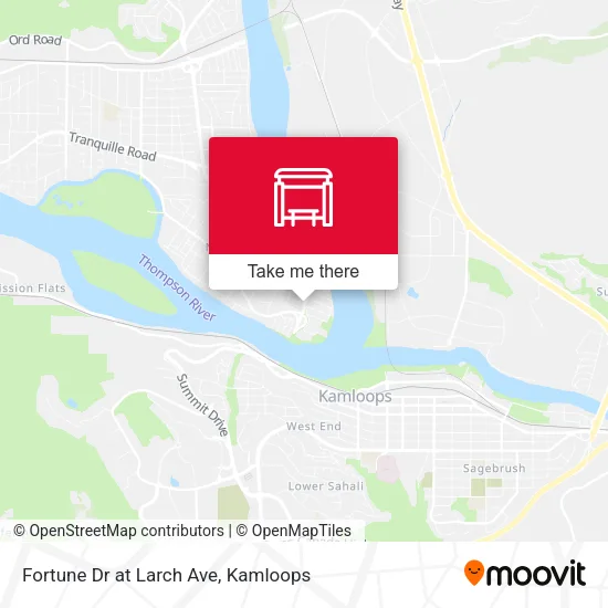 Fortune Dr at Larch Ave map