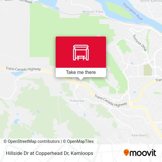 Hillside Dr at Copperhead Dr plan
