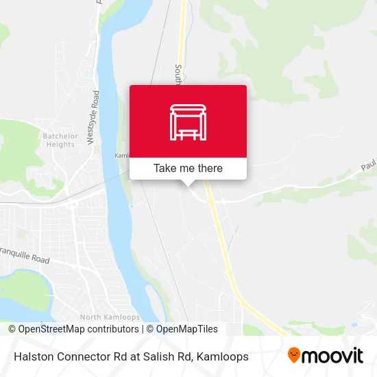 Halston Connector Rd at Salish Rd map