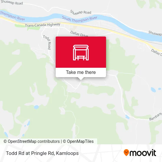 Todd Rd at Pringle Rd map