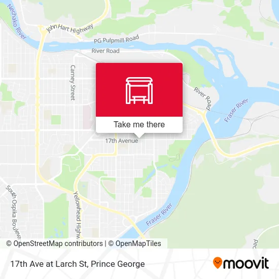17th Ave at Larch St plan