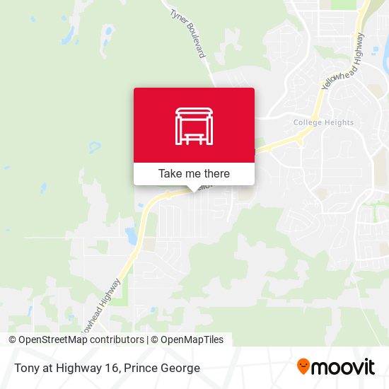 Tony at Highway 16 map