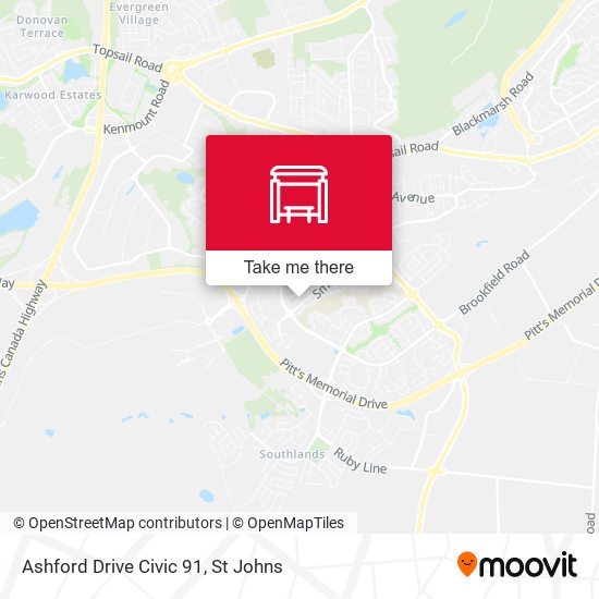 Ashford Drive Civic 91 map