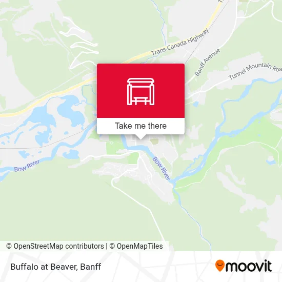Buffalo at Beaver map
