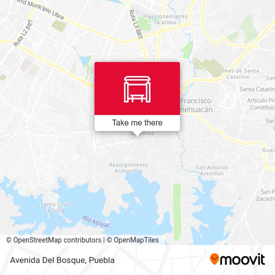 Avenida Del Bosque map