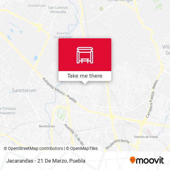 Mapa de Jacarandas - 21 De Marzo