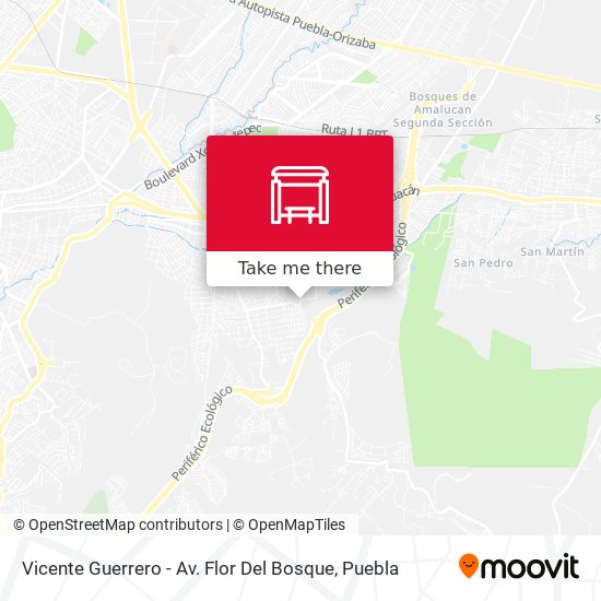 Vicente Guerrero - Av. Flor Del Bosque map