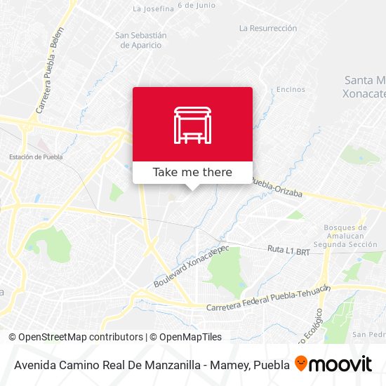 Avenida Camino Real De Manzanilla - Mamey map