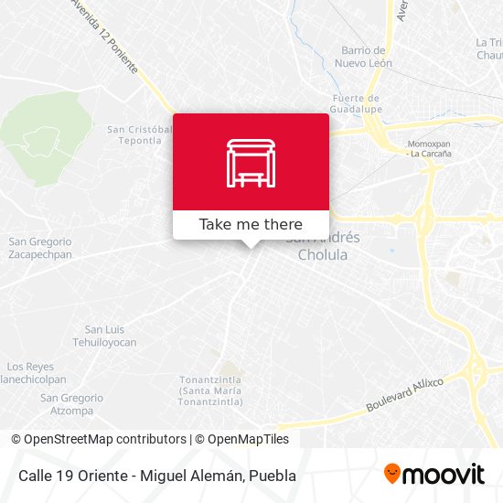 Calle 19 Oriente - Miguel Alemán map