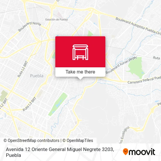 Mapa de Avenida 12 Oriente General Miguel Negrete 3203