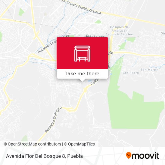 Mapa de Avenida Flor Del Bosque 8