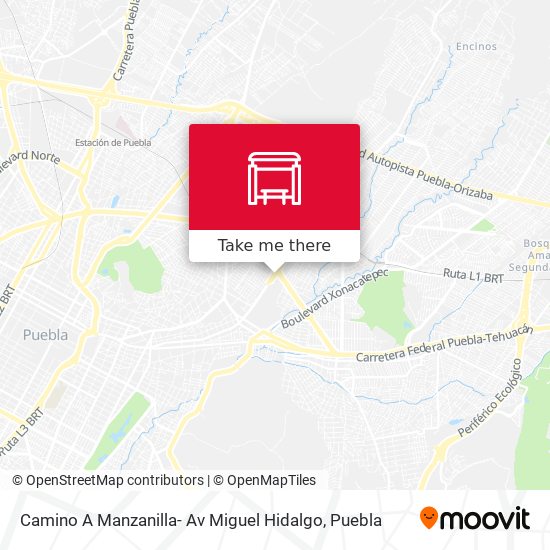 Camino A Manzanilla- Av Miguel Hidalgo map