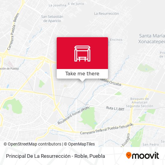 Principal De La Resurrección - Roble map