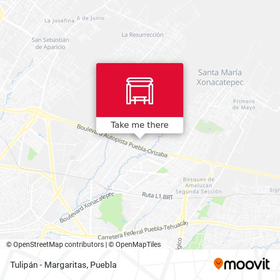 Mapa de Tulipán - Margaritas