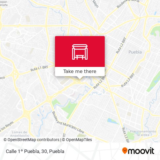 Mapa de Calle 1º Puebla, 30