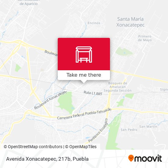 Avenida Xonacatepec, 217b map
