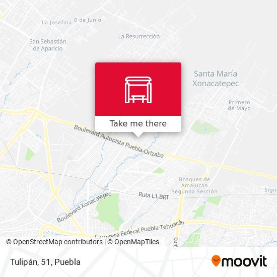 Mapa de Tulipán, 51