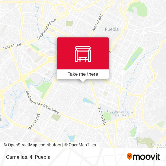 Camelias, 4 map