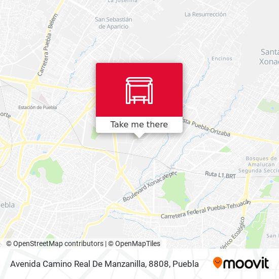 Avenida Camino Real De Manzanilla, 8808 map