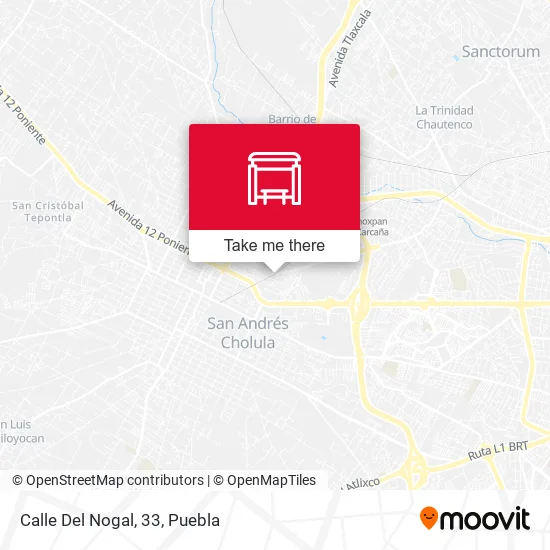 Mapa de Calle Del Nogal, 33