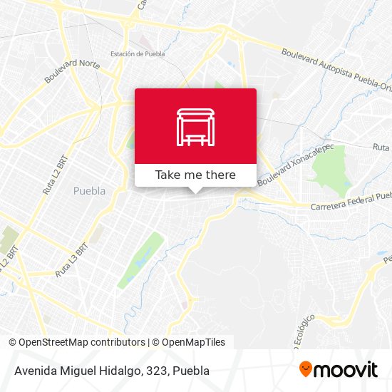 Mapa de Avenida Miguel Hidalgo, 323
