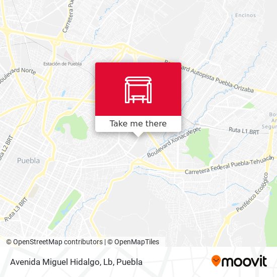 Avenida Miguel Hidalgo, Lb map