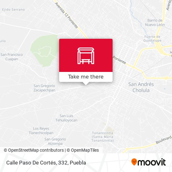 Calle Paso De Cortés, 332 map