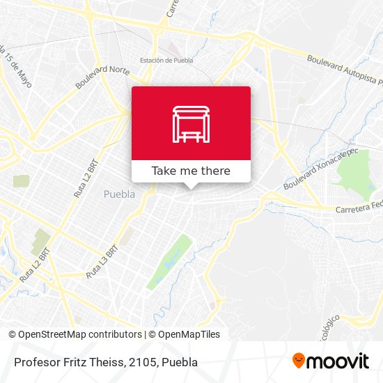 Mapa de Profesor Fritz Theiss, 2105