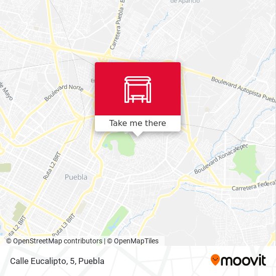 Mapa de Calle Eucalipto, 5