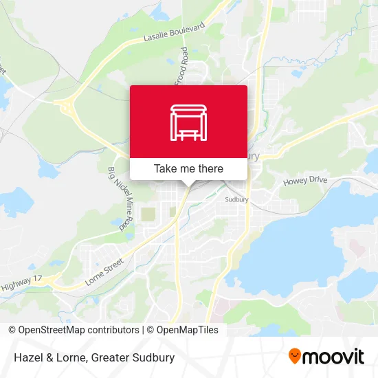 Hazel & Lorne plan