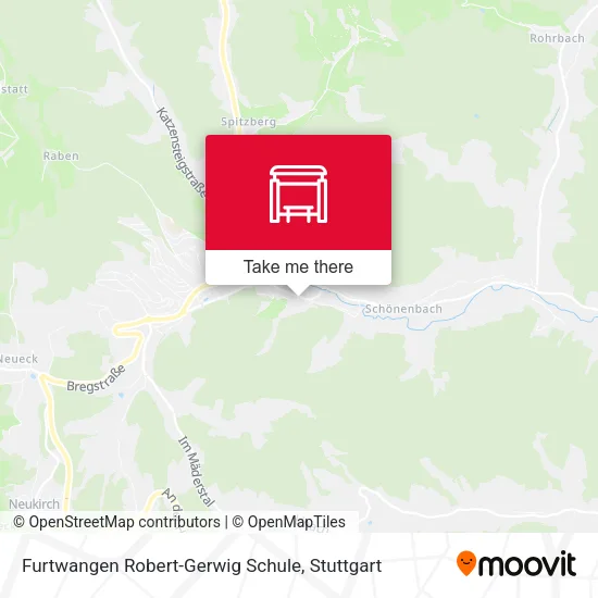 Карта Furtwangen Robert-Gerwig Schule