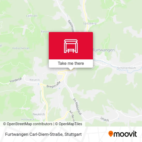 Карта Furtwangen Carl-Diem-Straße