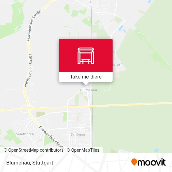 Blumenau map