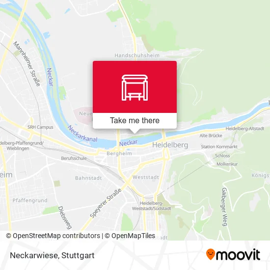 Карта Neckarwiese