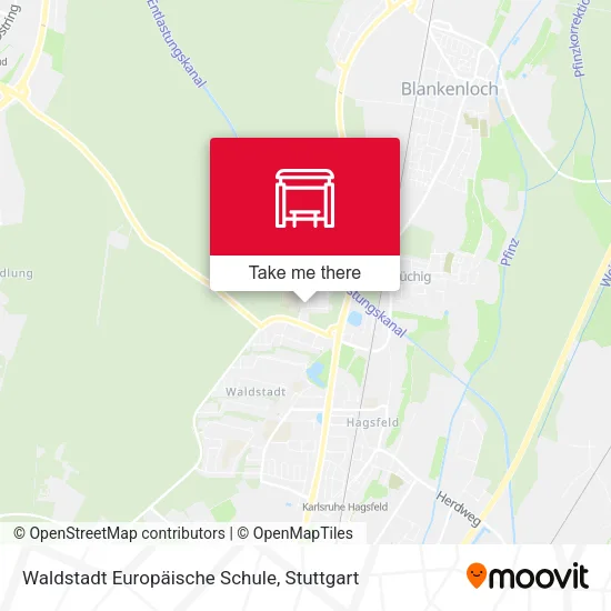 Карта Waldstadt Europäische Schule