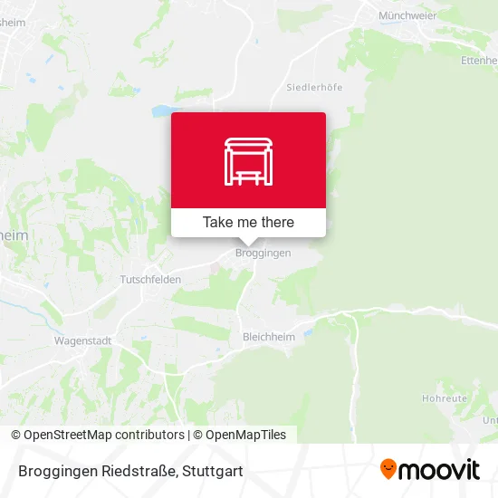Карта Broggingen Riedstraße