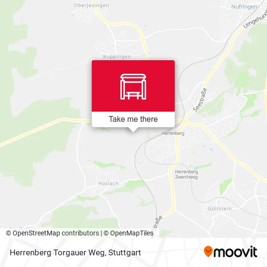 Карта Herrenberg Torgauer Weg