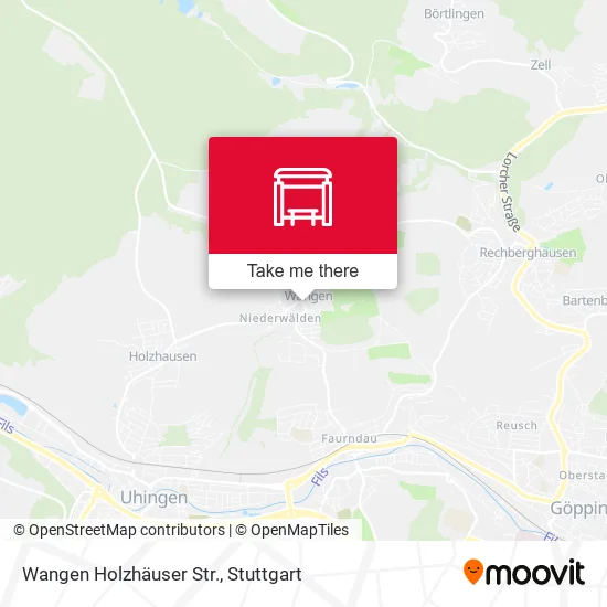 Карта Wangen Holzhäuser Str.