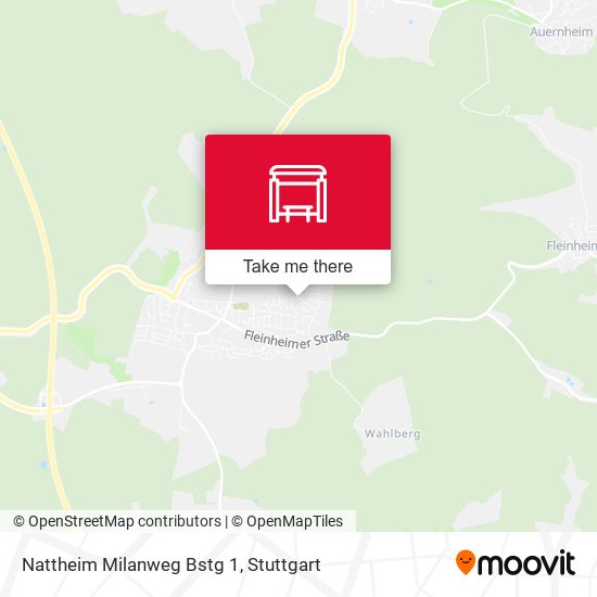 Nattheim Milanweg Bstg 1 map