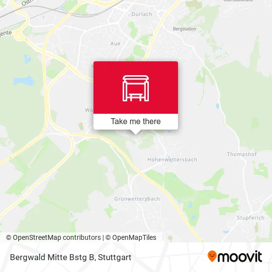 Bergwald Mitte Bstg B map