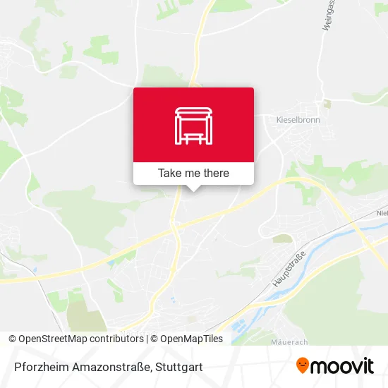 Карта Pforzheim Amazonstraße