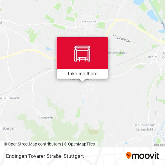 Карта Endingen Tovarer Straße