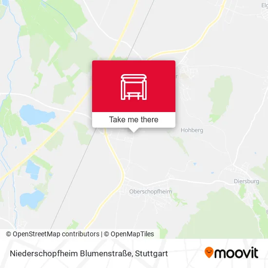 Карта Niederschopfheim Blumenstraße