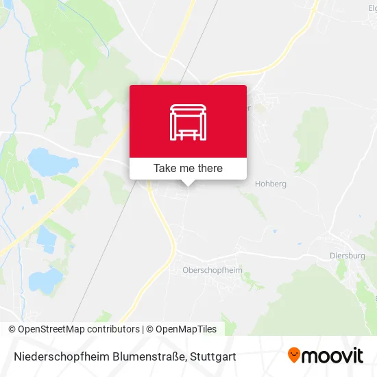 Карта Niederschopfheim Blumenstraße