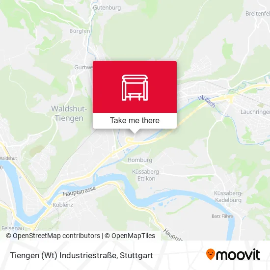 Карта Tiengen (Wt) Industriestraße